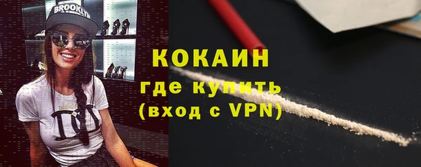 стаф Верея