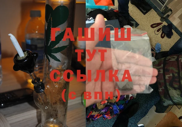 стаф Верея
