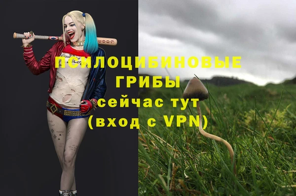 PSILOCYBIN Верхнеуральск