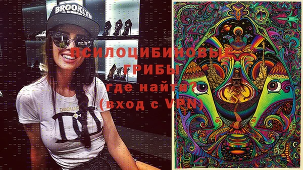 стаф Верея