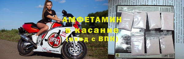 стаф Верея