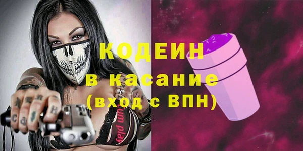 стаф Верея