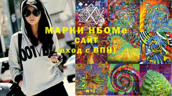 стаф Верея