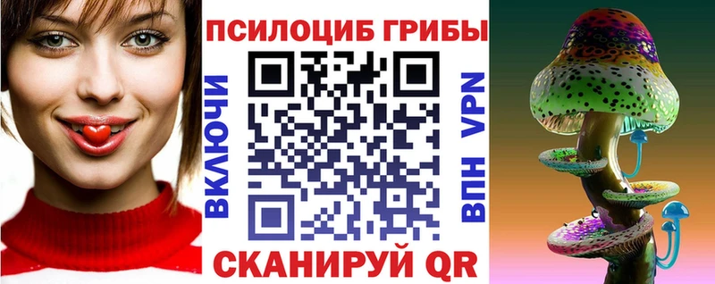 Псилоцибиновые грибы Psilocybe  дарнет шоп  Губкин 